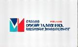 ProjectFlow Max Logo